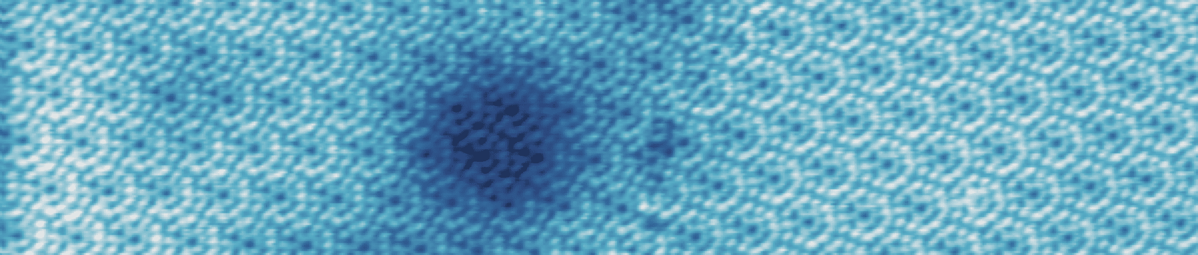 Scanning Probe Microscopy Group, PolyU